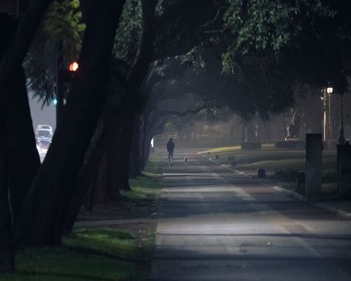 person taking an evening walk in a park
